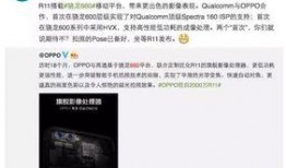 内鬼爆料出错视频播放